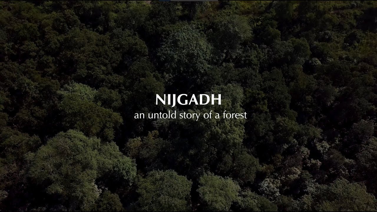Nijgadh - An Untold Story of a Forest