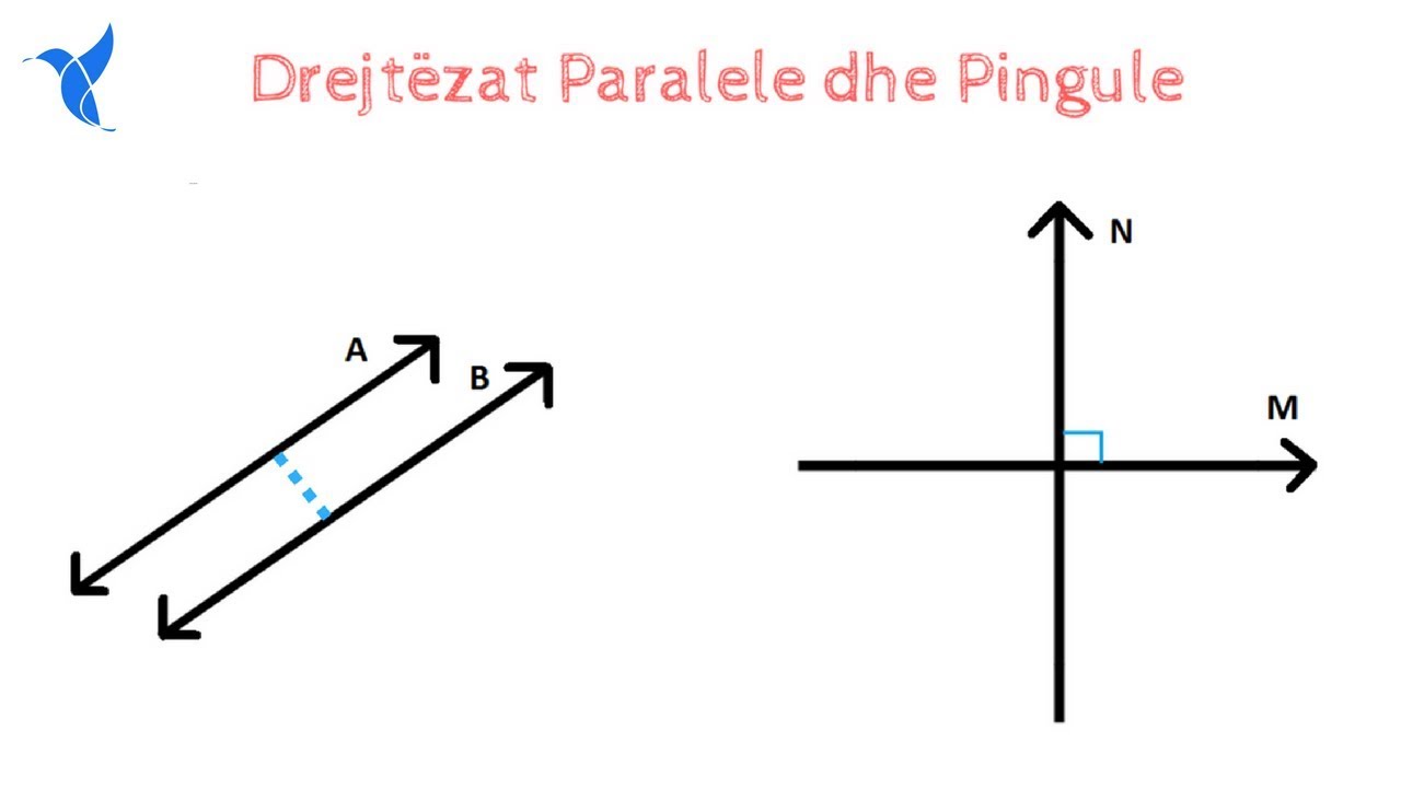 Drejtëzat paralele dhe pingule