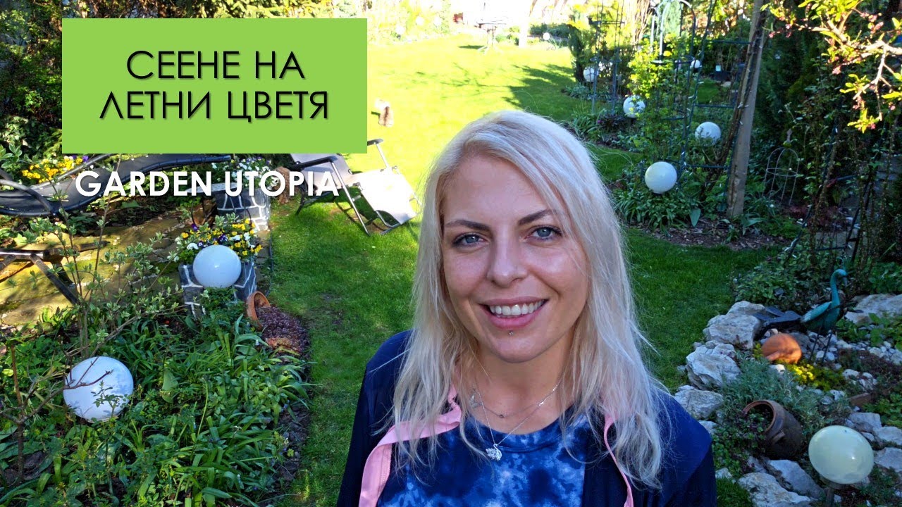Засяване на ЛЕТНИ ЦВЕТЯ