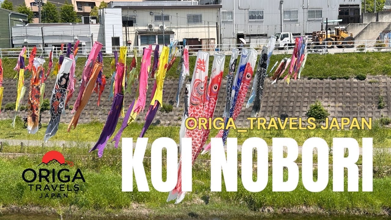 Koi Nobori #koinobori #ChildrensDayJapan #japaneseculture #japanfestival #origatravelsjapan