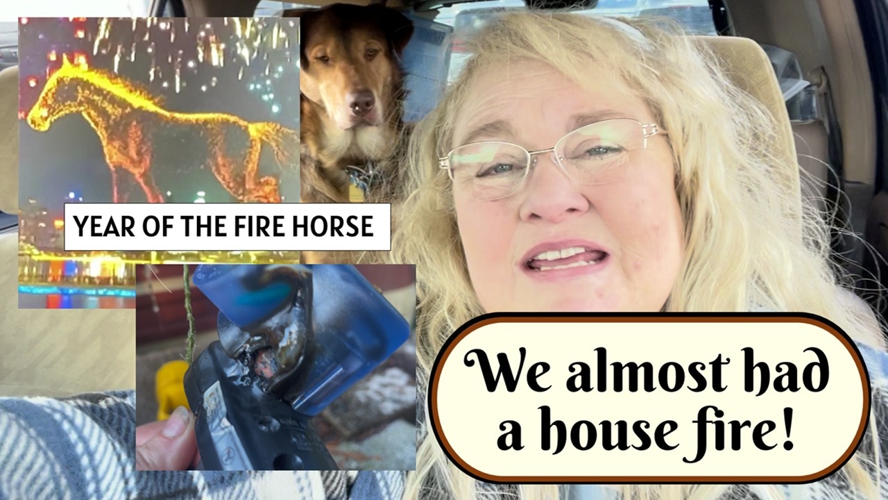 Year of the Fire Horse | Almost Had a House Fire!