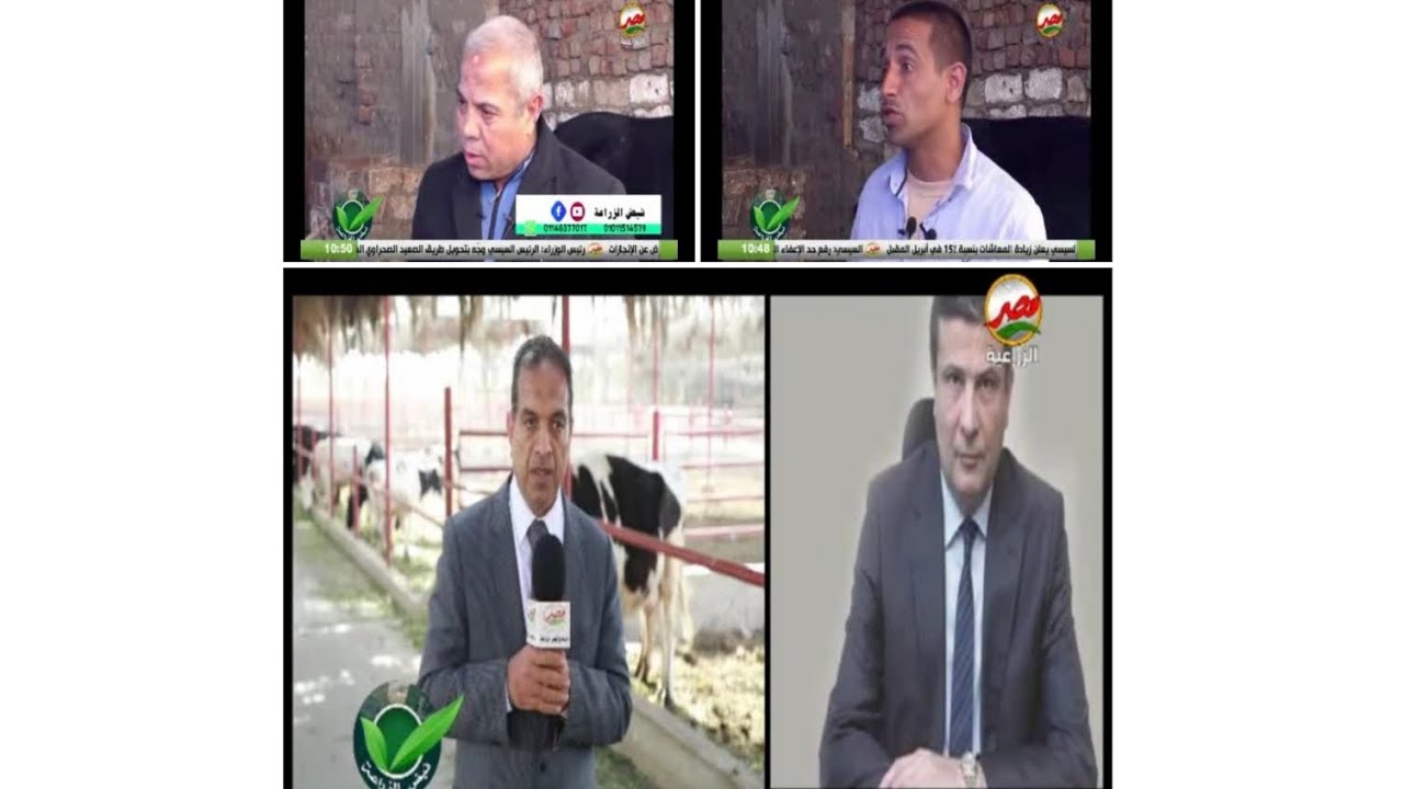 البنك الزراعي لا يرد/ المزارعين احجموا عن قروض الثروة الحيوانية لان التسليم عيني من سبب غلاء اللحوم؟