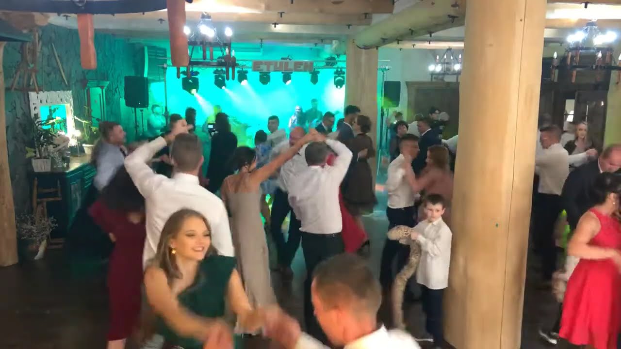 Etylen - Cyganeczka Zosia
