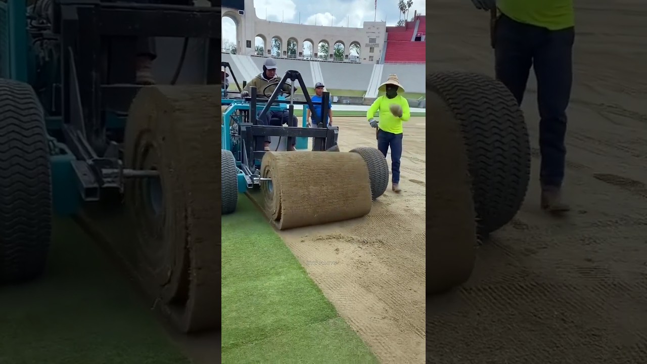 Natural Grass in Cricket stadium.