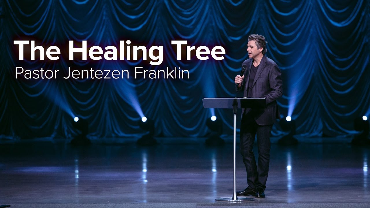 The Healing Tree | Jentezen Franklin