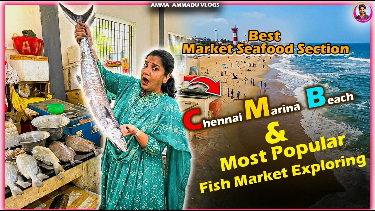 Most Popular Fish Market Exploring : Chennai Marina Beach Tour | Amma Ammadu 