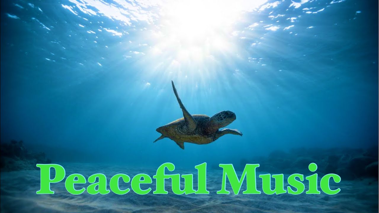 Deep Blue | Ambient Music | Ocean Sounds