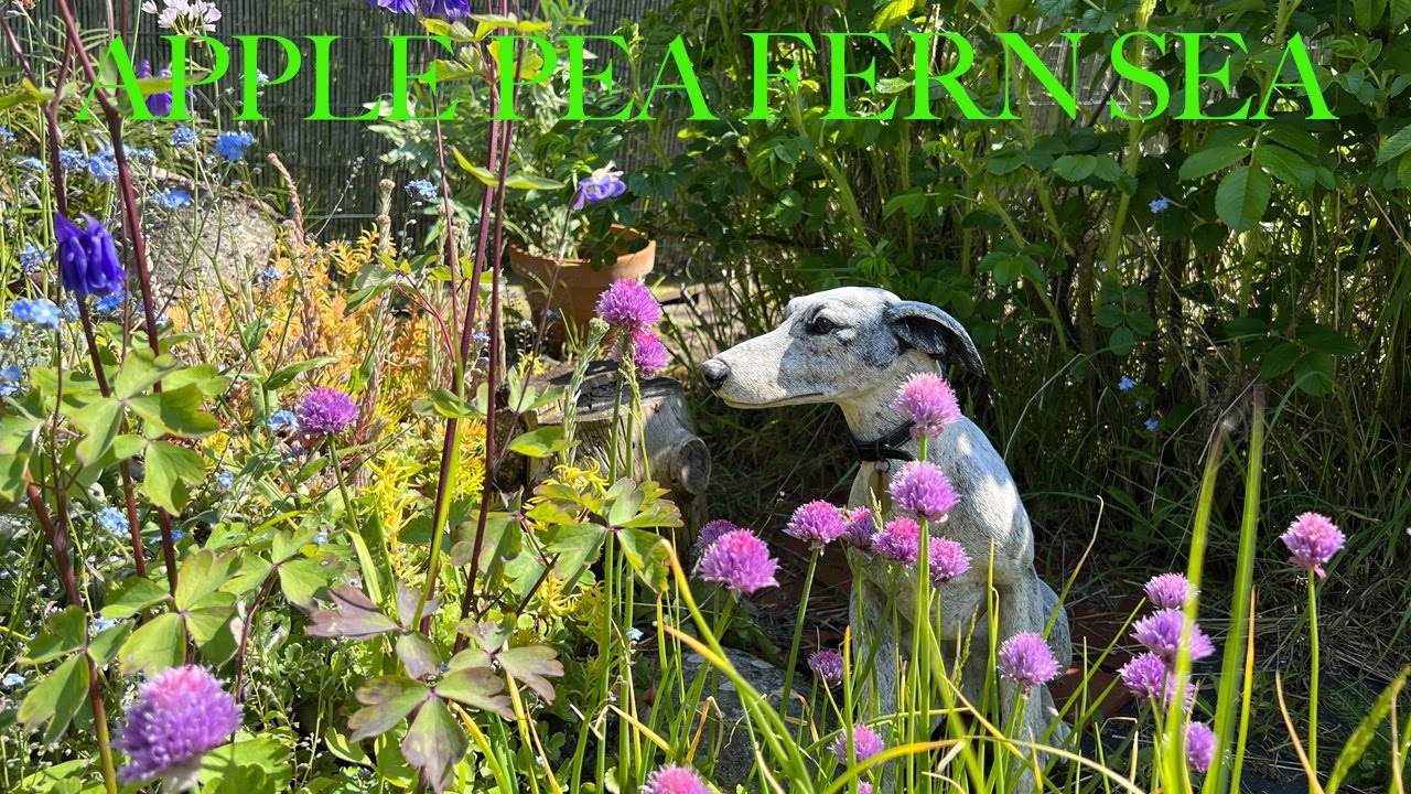A Romantic English Garden with Sustainability and Wildlife at its Heart, Skylarks Garden in Kent.