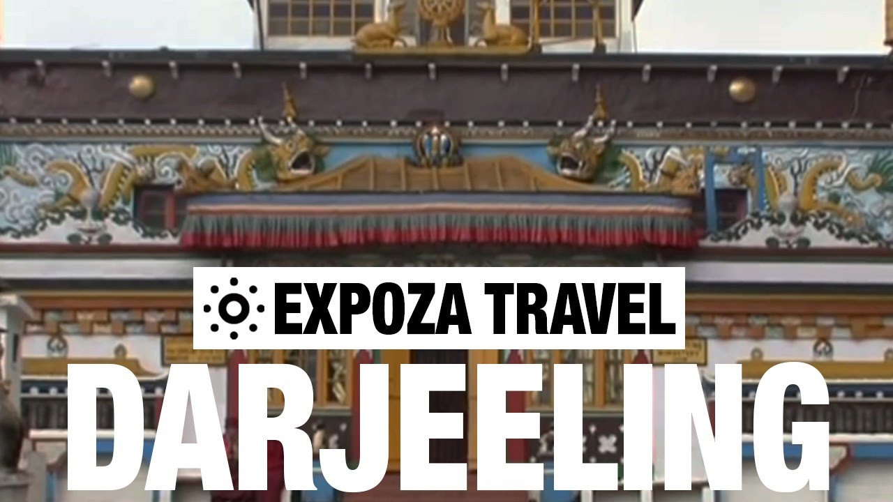 Видеогид по путешествию на игрушечном поезде по Гималаям в Дарджилинге.