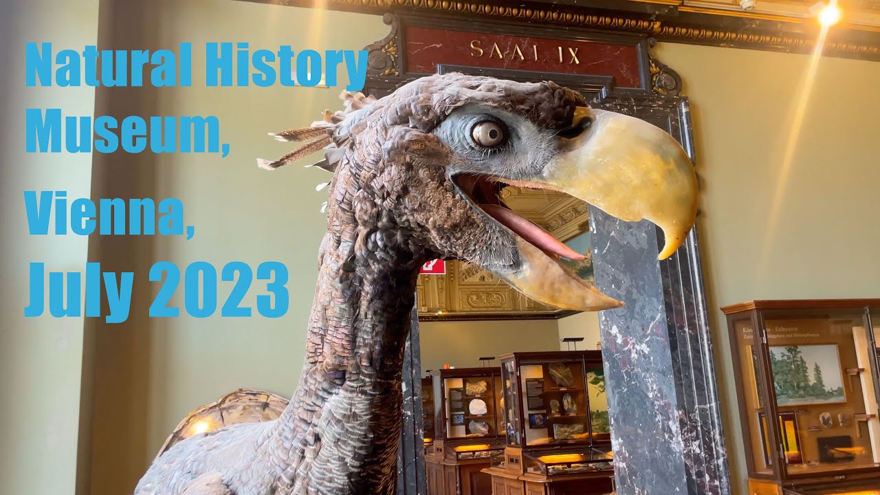 Natural History Museum, Vienna, Austria