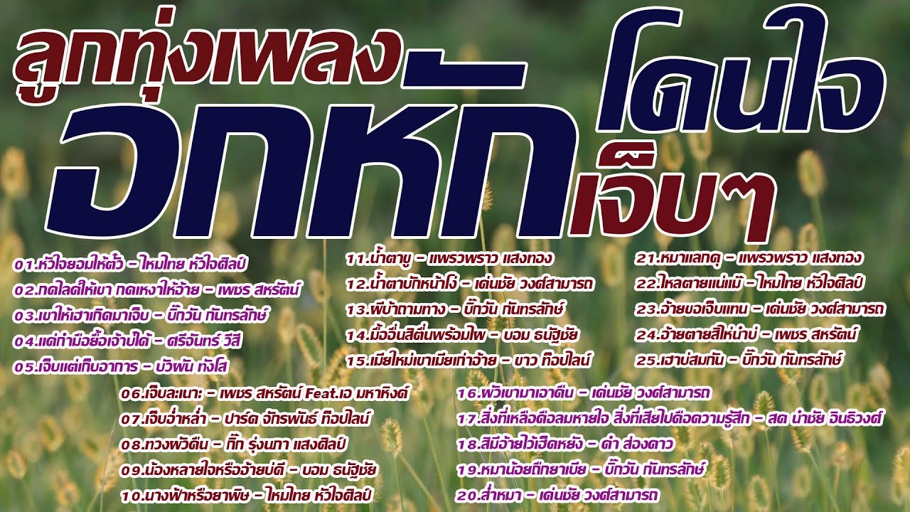 รวมเพลงลูกทุ่งโดนใจอกหักบ่เซาเจ็บ