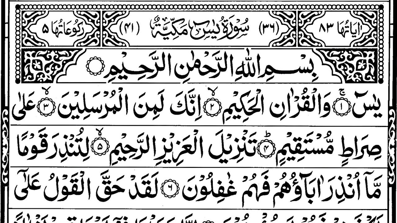 Surah Yaseen Sharif | The Light Of Quran | Ep 280| Surah Yasin Surah Rahman Surah Mulk Recitation HD