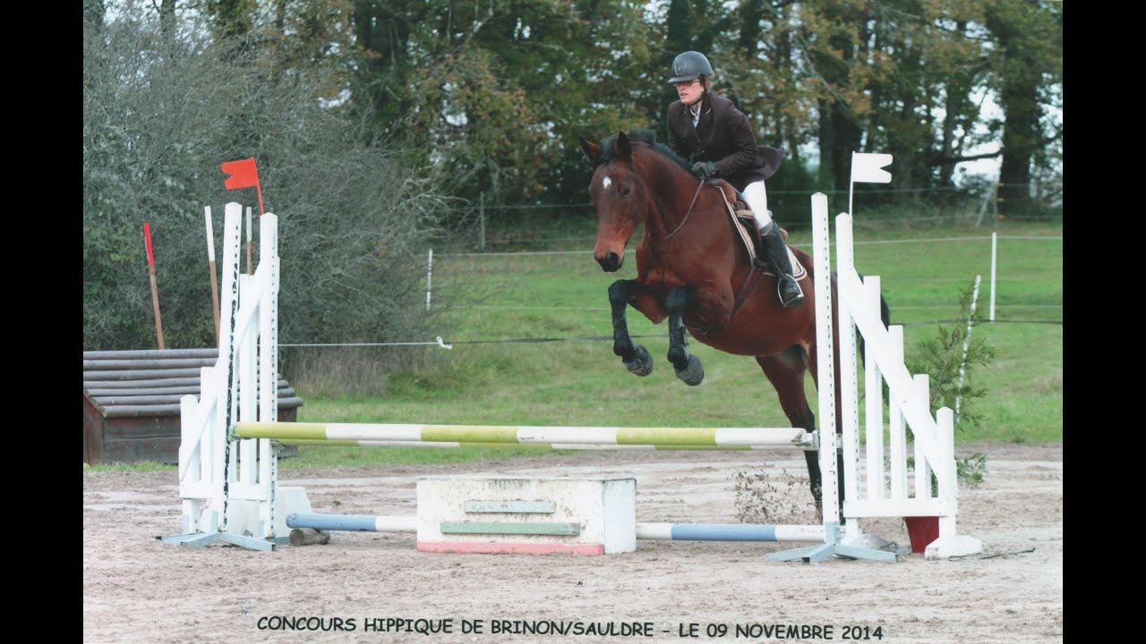 CSO en cordelette - club 3 - sans fautes - Arianka et moi