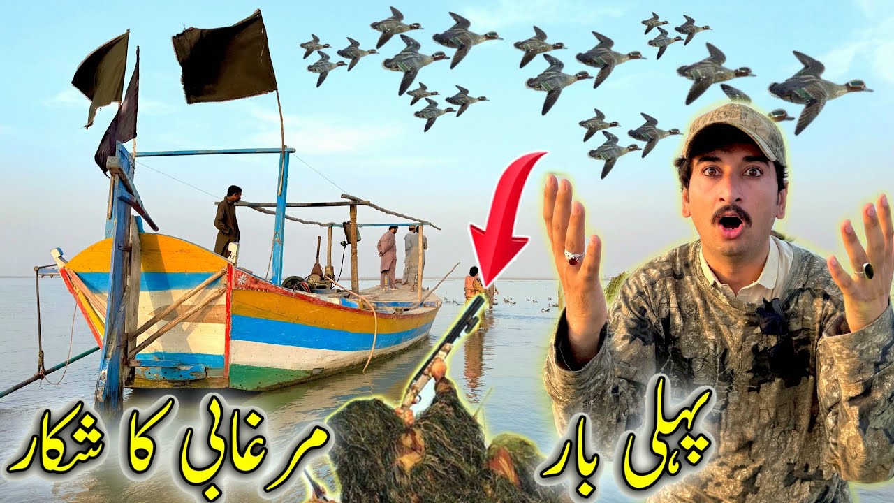 ZindGi Main Pheli Bar Murghabi Ka Shikar 🦤🦆شکار ہی شکار 😱