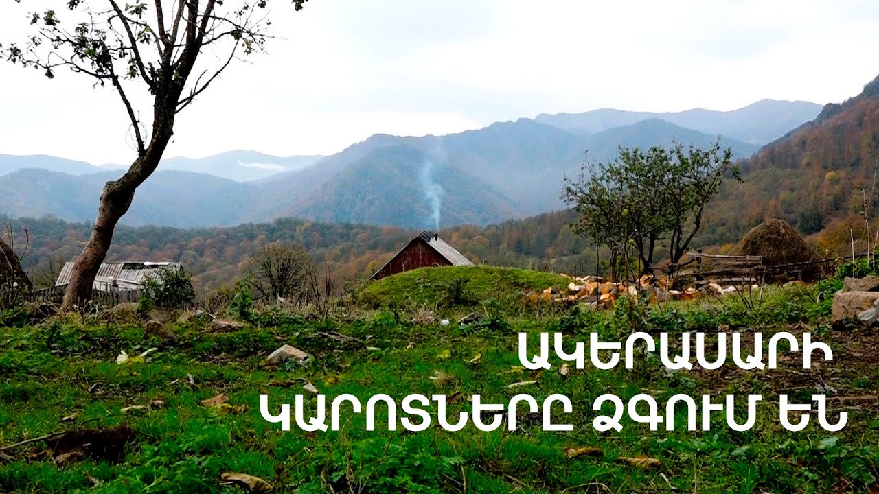 Սարի կարոտը, սարվորի ապրուստն ու Ալիկ տատի զրույցը