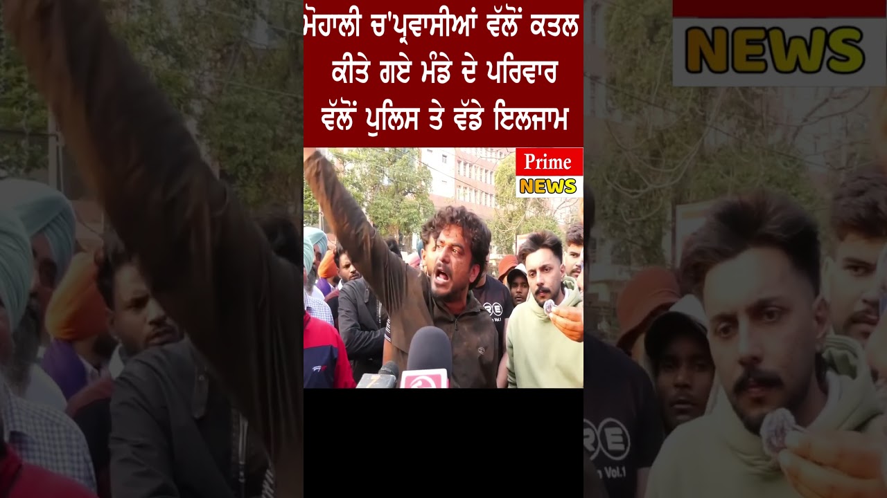 Mohali Murder cases
