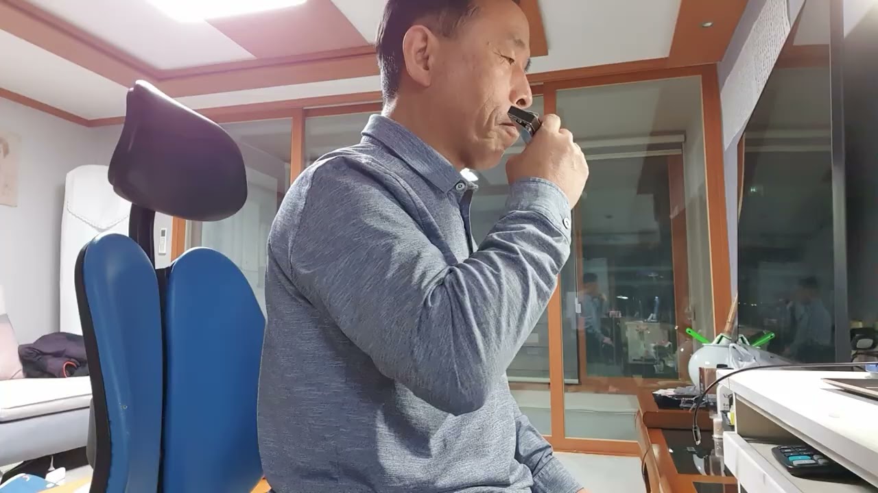 장밋빛 스카프/ 하모니카 c키(@밤부엉이-q5e )