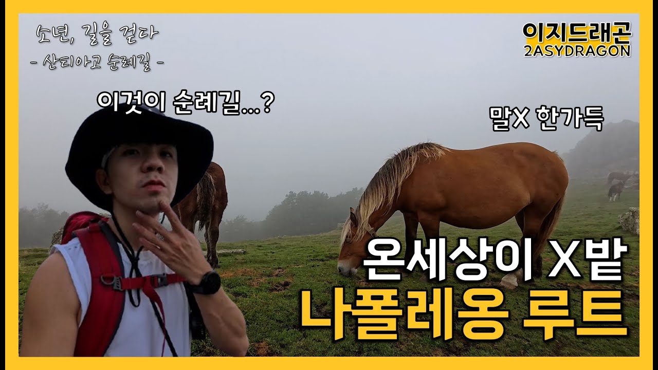 온세상이 똥밭... 피레네 산맥 나폴레옹 루트 | 생장 ~ 론세스바예스 | 산티아고 순례길 EP.2 | 소년, 길을 걷다