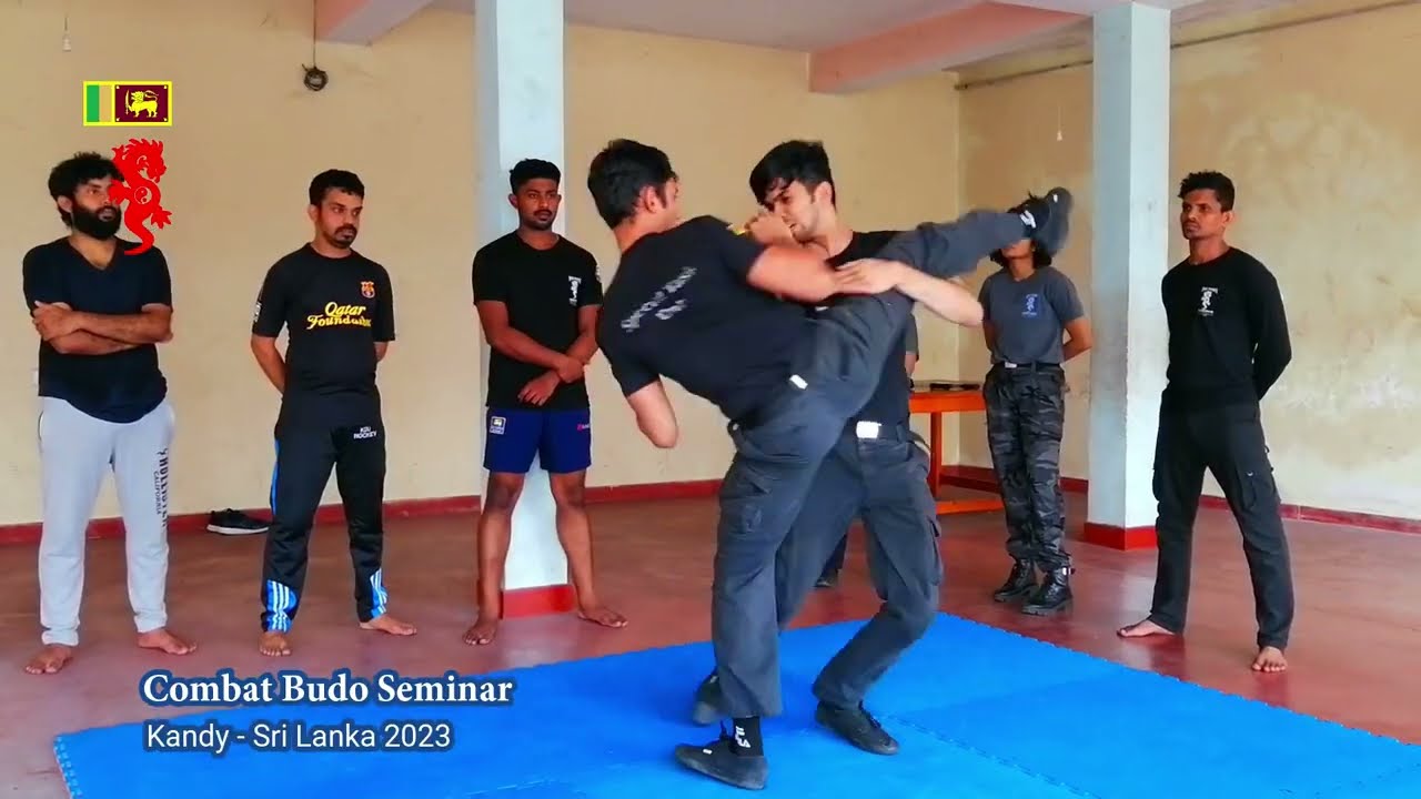 Combat Budo - Way of Reality