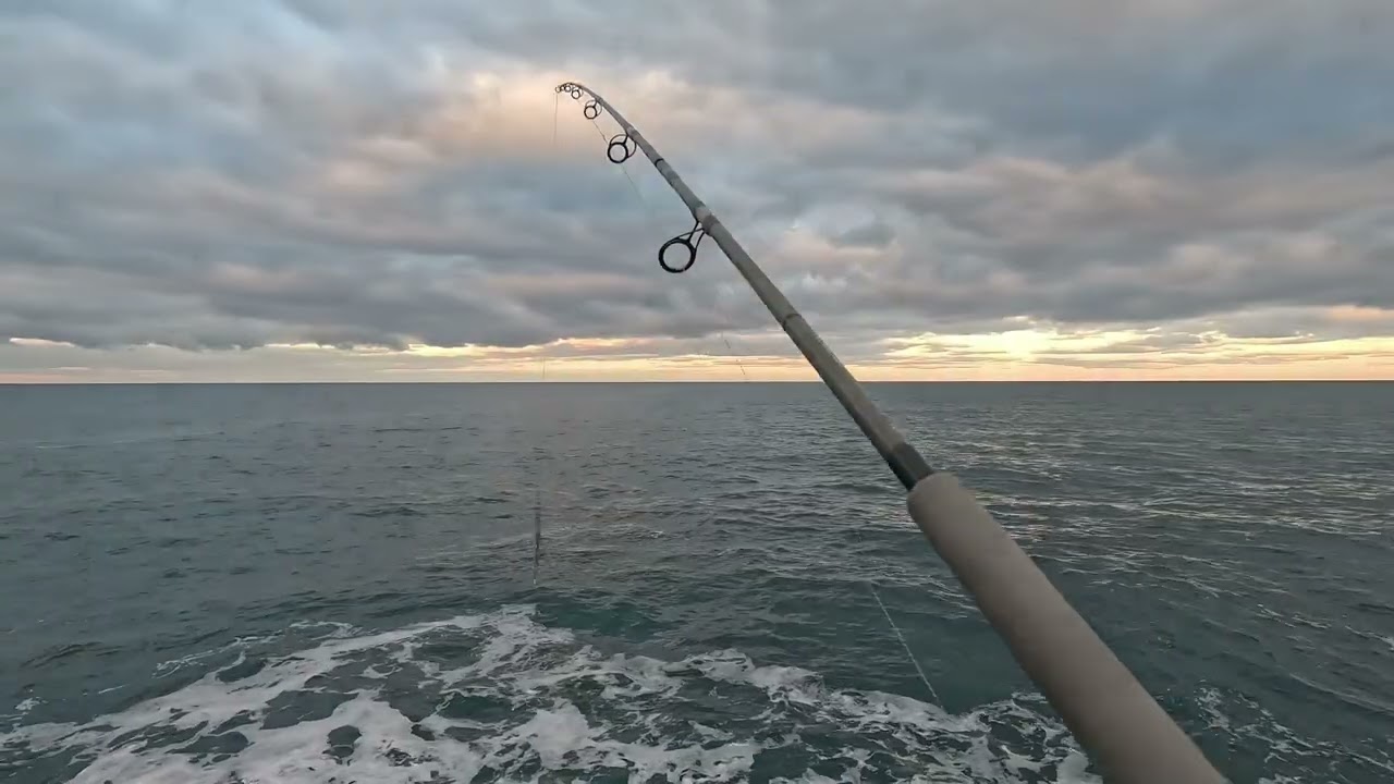 寒ブリチャレンジ　６日目　東風の穏やかな海をご覧下さい1223