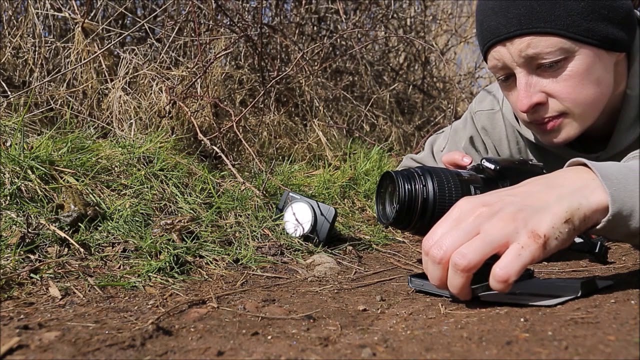 The Great Outdoors with the Manfrotto Lumimuse 8 Bluetooth LED