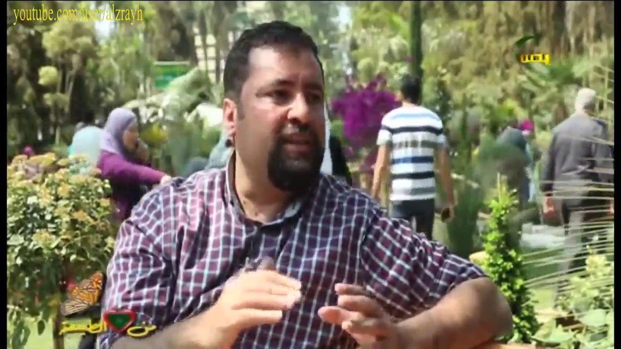 تعرف عن اللاندسكيب و انواعه وفن تنسيق جمال الطبيعة فى الحدائق