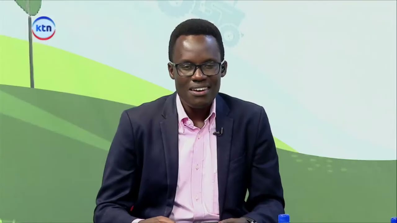 Farm Kenya || Fish value chain innovation