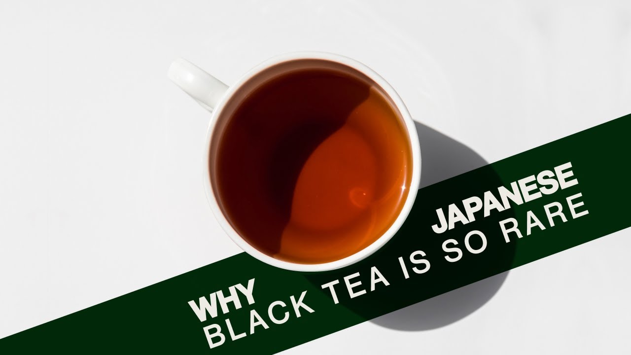 Why is Japanese Black Tea so Rare? Everything you Need to Know about Japanese Black Tea