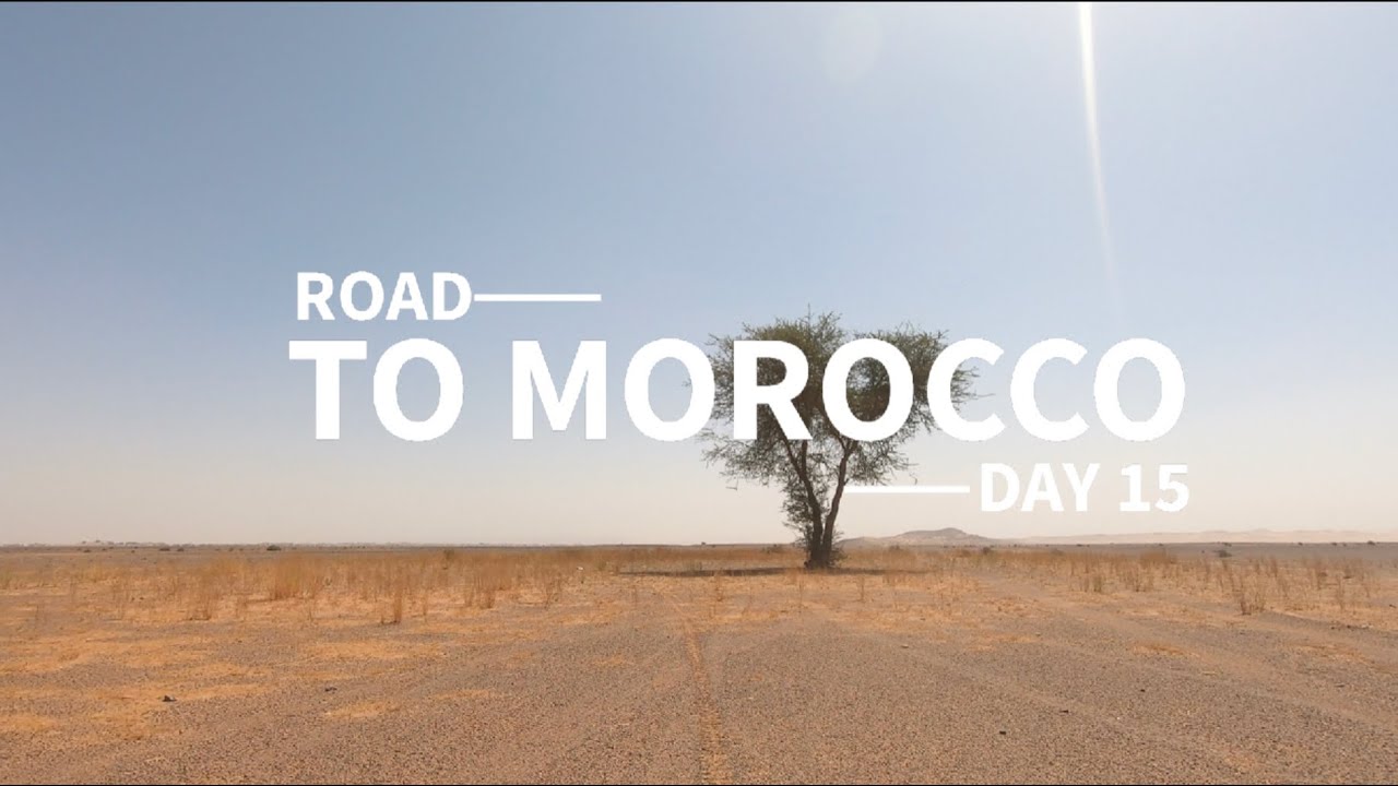 Road to Morocco, day 15. Desert kasbah to the roof tops of Zagora