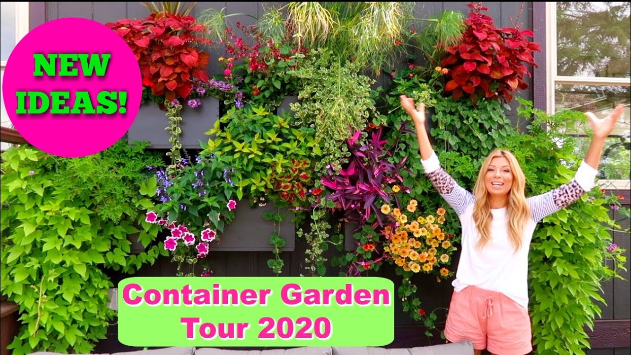 Container Garden Tour 2020 | Favorite Combos & Varieties of the Year | Beautiful, Unique & NEW IDEAS