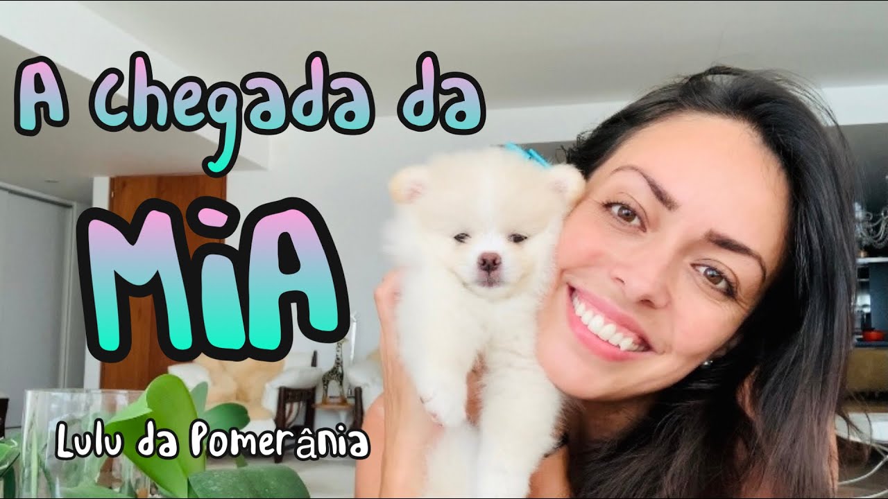 A CHEGADA DA MIA! MINHA LULU DA POMERÂNIA! Por Mila Machado