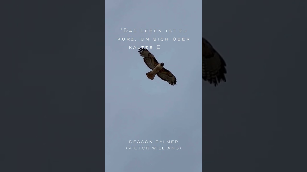 "Das Leben ist..." - Deacon Palmer (Victor Williams) 