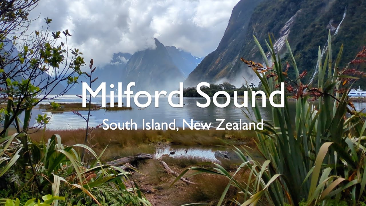 Milford Sound, Lake Te Anau, Mirror Lakes, Fur Seals, Bottlenose Dolphins