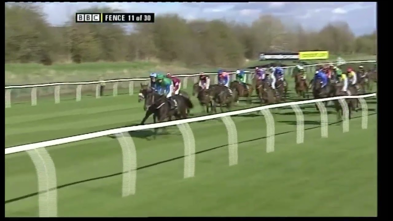 2009 Grand National