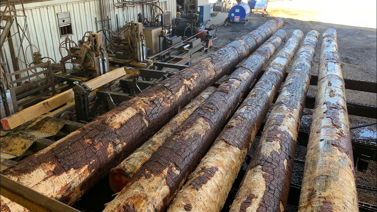 Sawing 40 ft Pine Log Into a 12 x 12 Timber With 66&rdquo; Solid Tooth Saw #17
