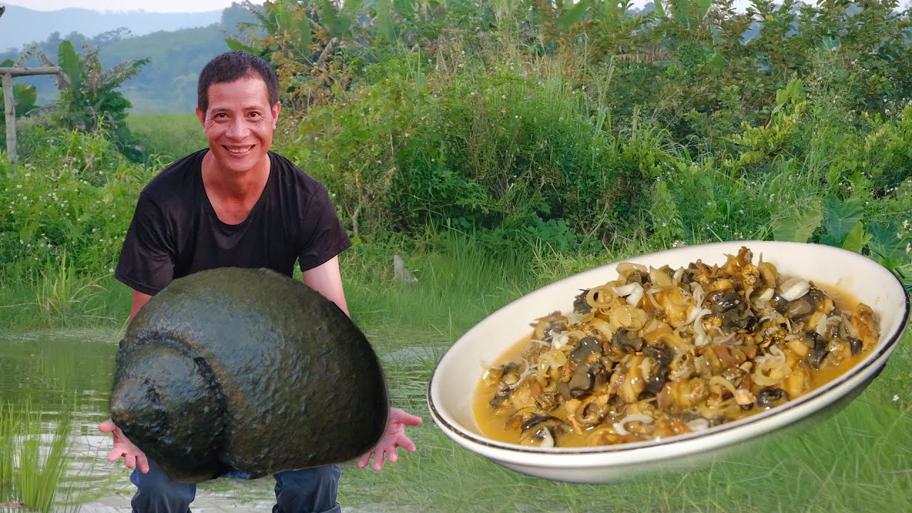 Catching Wild Snails and Cooking a Delicious Countryside Feast! | IN – Village Life