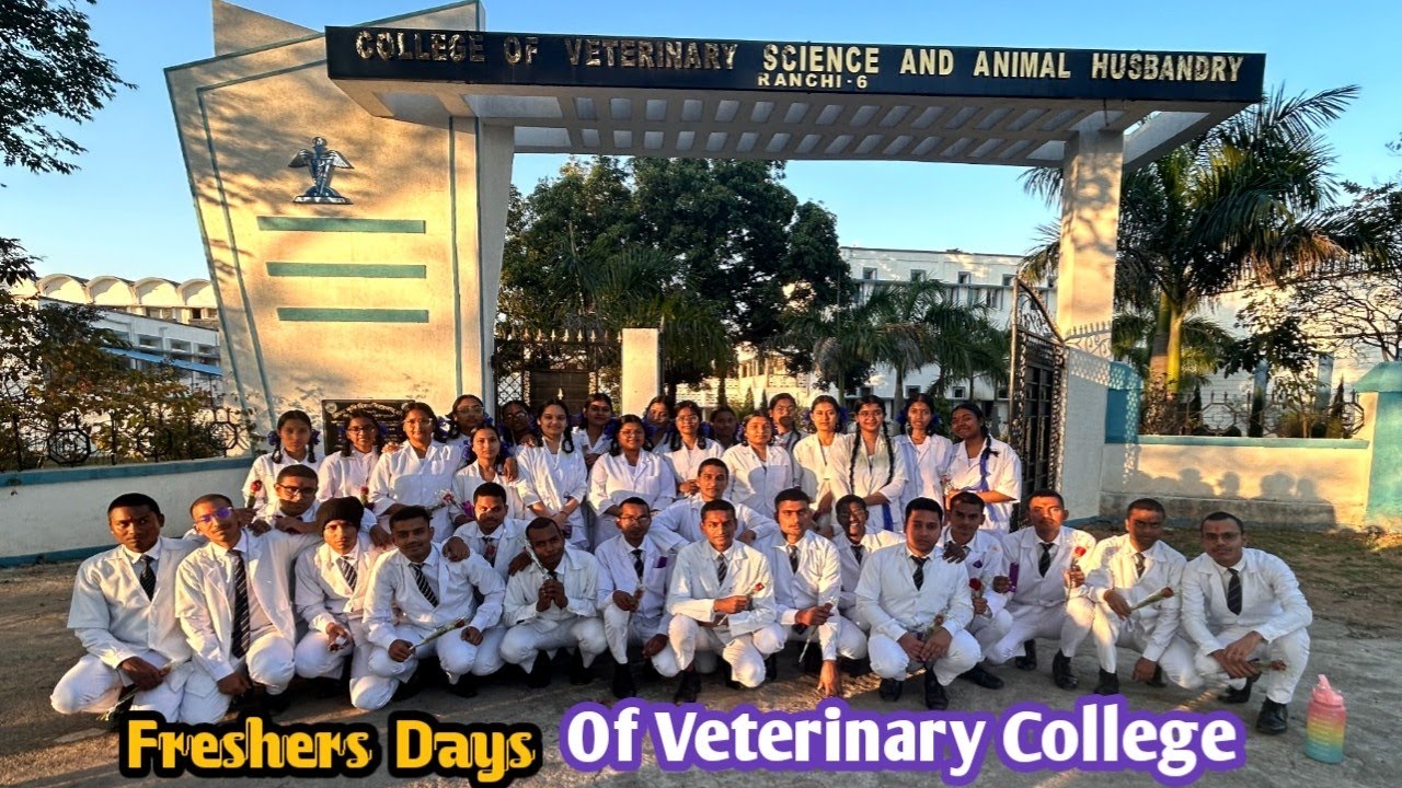 Fresher's Days In Ranchi Veterinary College Jharkhand 2023batch || Fresher's Party 2023batch