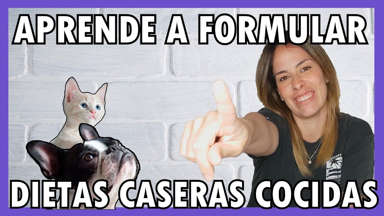 COMIDA CASERA 🥩 PARA PERROS 🐶 Y GATOS 🐱 | Paso a paso para formular DIETAS caseras COCINADAS 🥘