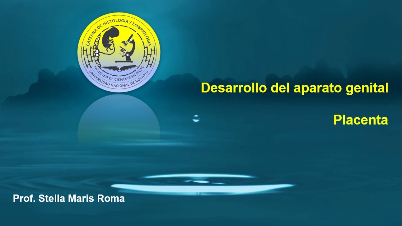 Desarrollo aparato genital y Placenta