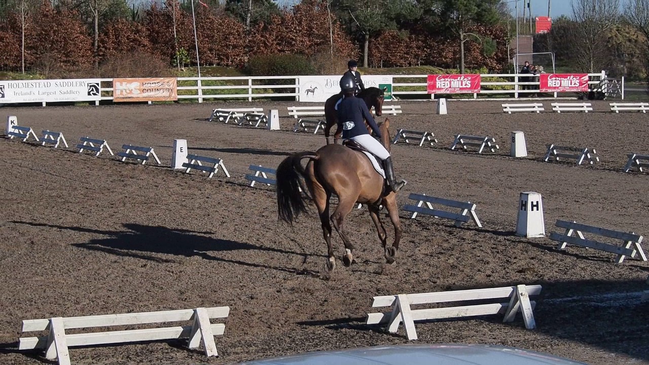BD Prelim 12 - 65%