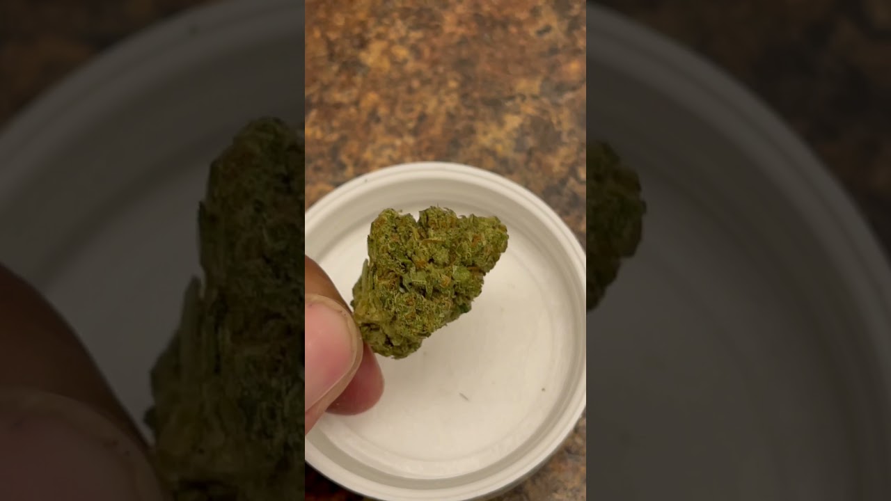 SESSIONS SUPPLY ALIEN OG