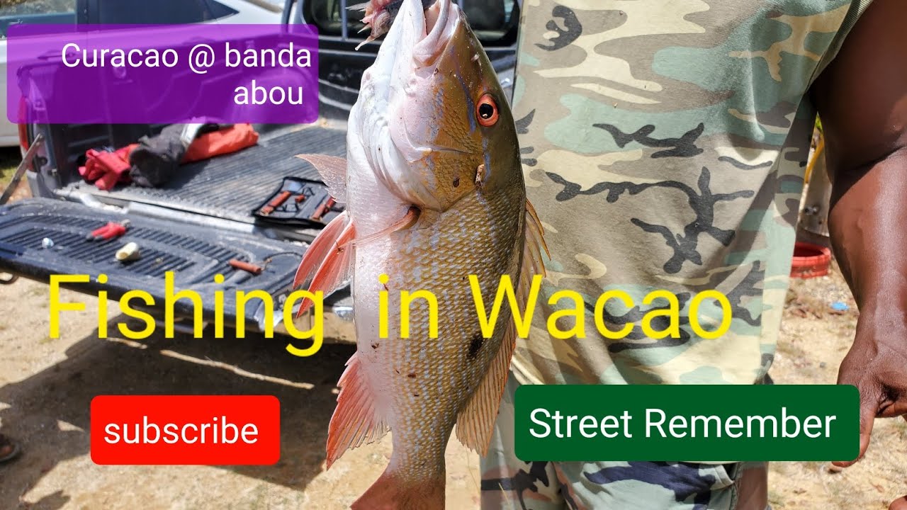 Curacao banda abou Fishing part 3