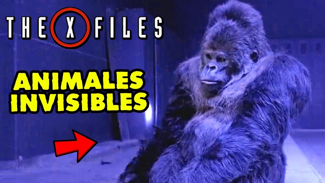 ZOO INSEMINADO Por Aliens Para Prueba de EMBRIONES - Resumen The X-Files o Expedientes X