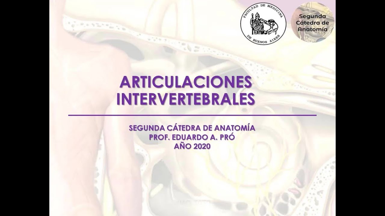 L1.2 | Articulaciones intervertebrales | Anatomía 2 | FMed UBA