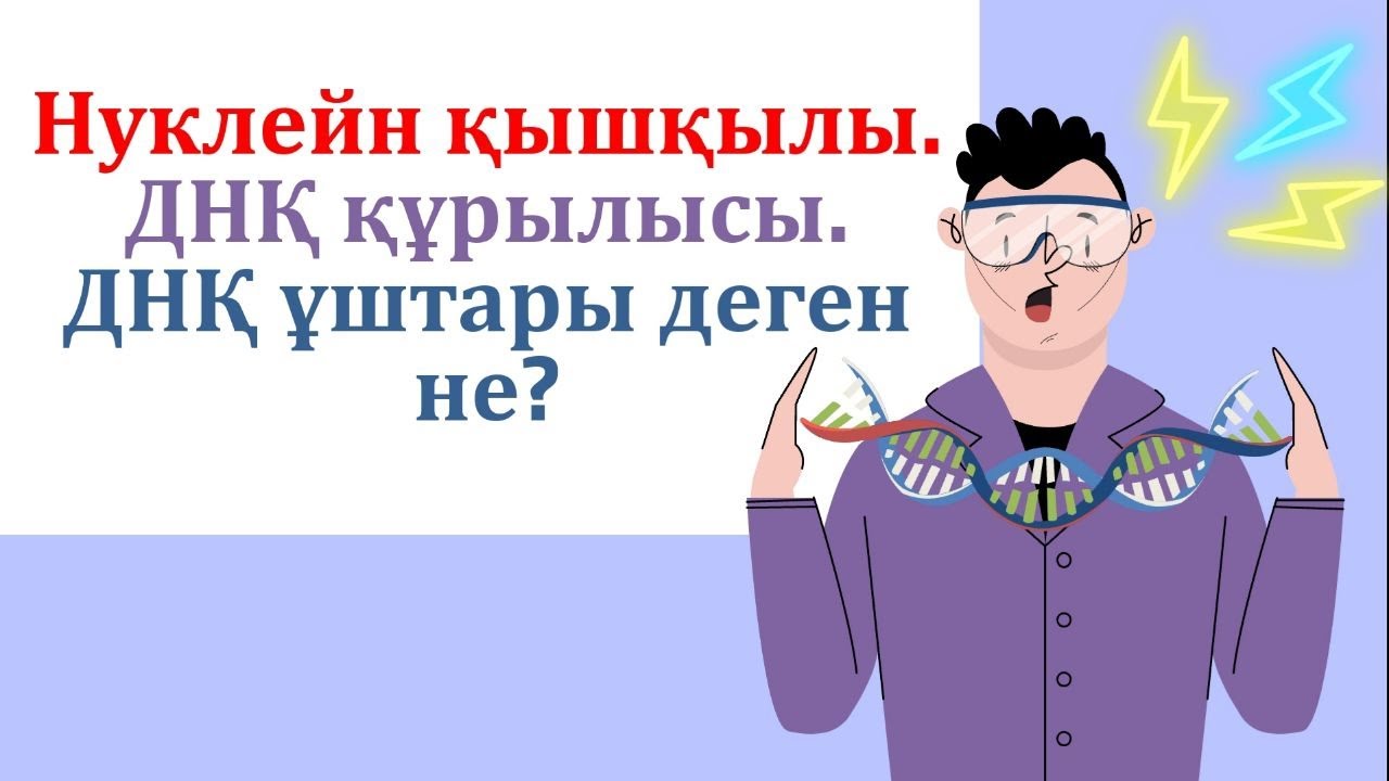 Нуклейн қышқылдары. ДНҚ ұштары. З' және 5' дегеніміз не? ДНҚ құрылысы. Азотты негіздер.