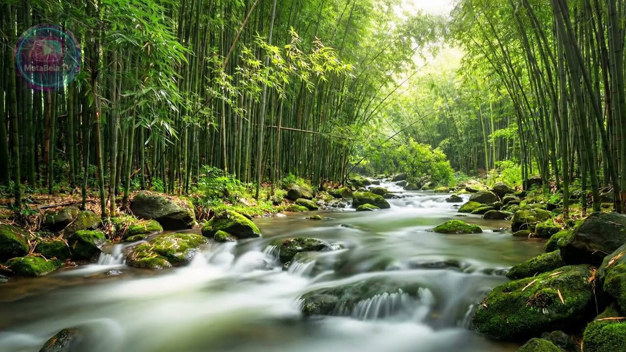 Deep-relaxation-music-meditation 🌿,