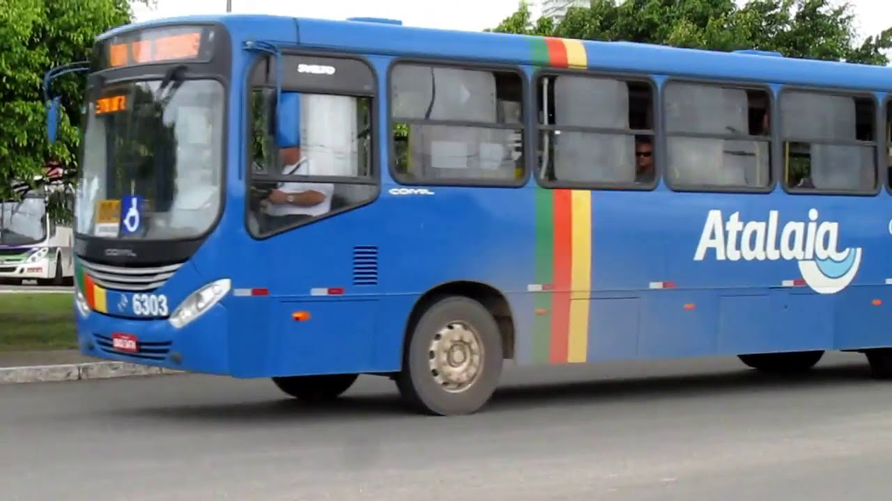 Movimentação do terminal do mercado em Aracaju-SE (parte 2)