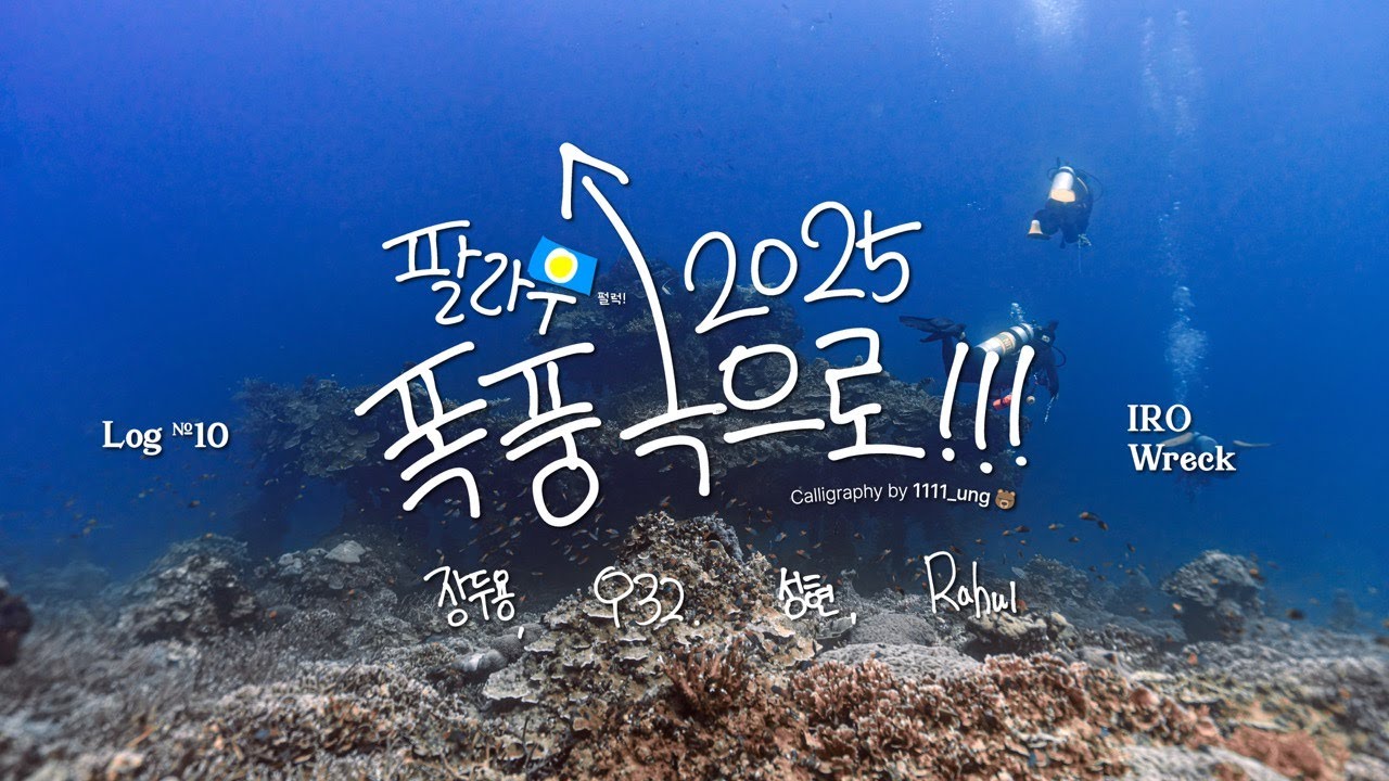 팔라우 'IRO Wreck' #10 (2025년 8월 8일)