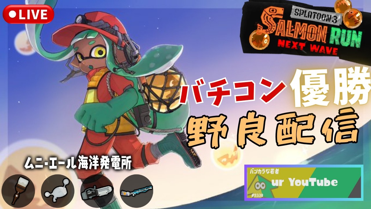 【サーモンランNW】野良　ムニ