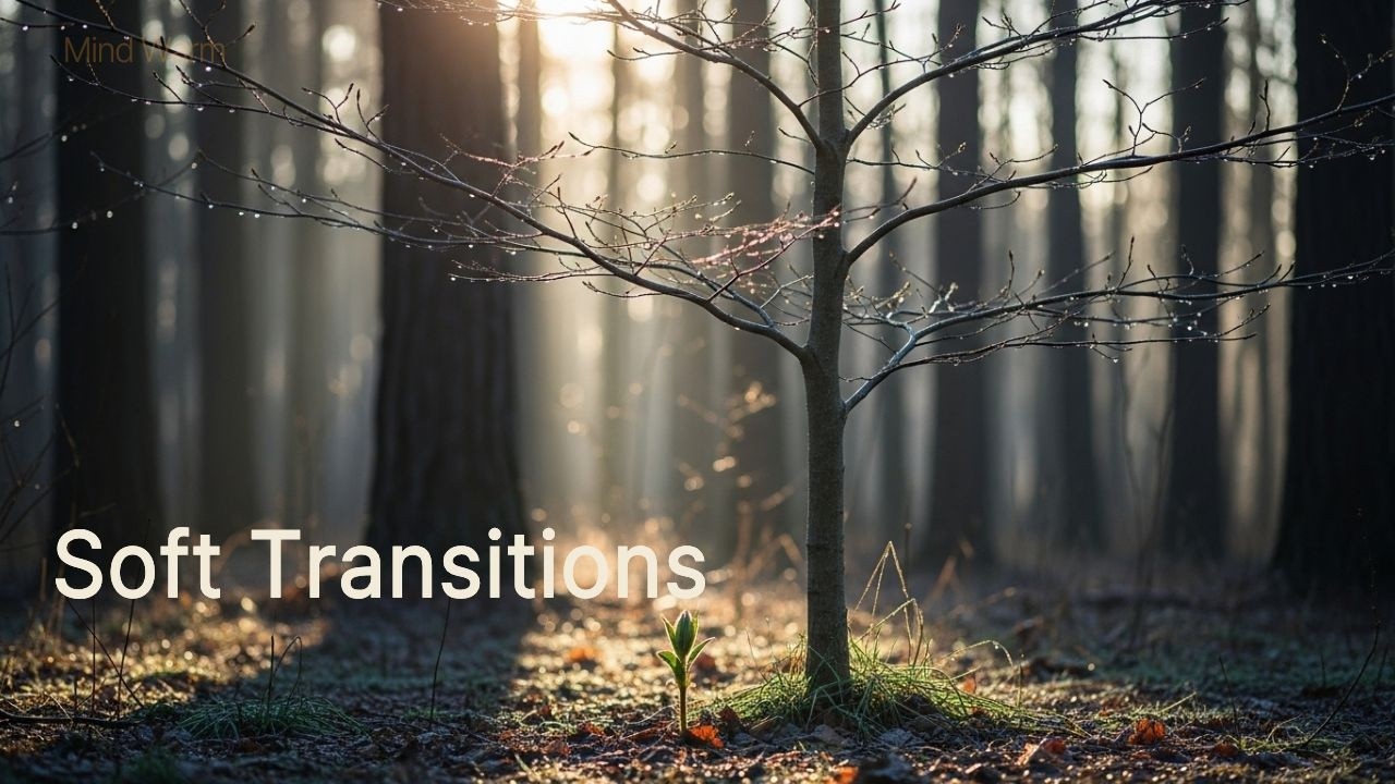 천천히 다가온 봄 기운  | Soft Transition